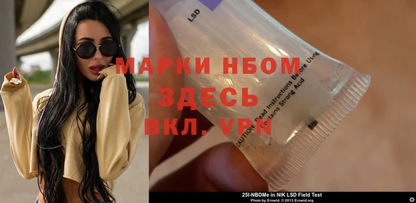 стаф Вяземский