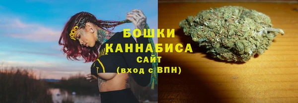 стаф Вяземский
