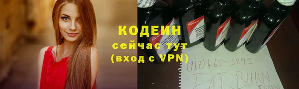 стаф Вяземский