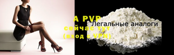 стаф Вяземский