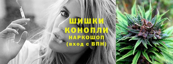 стаф Вяземский