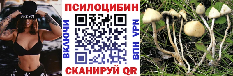 мориарти состав  Нея  Псилоцибиновые грибы Psilocybe 